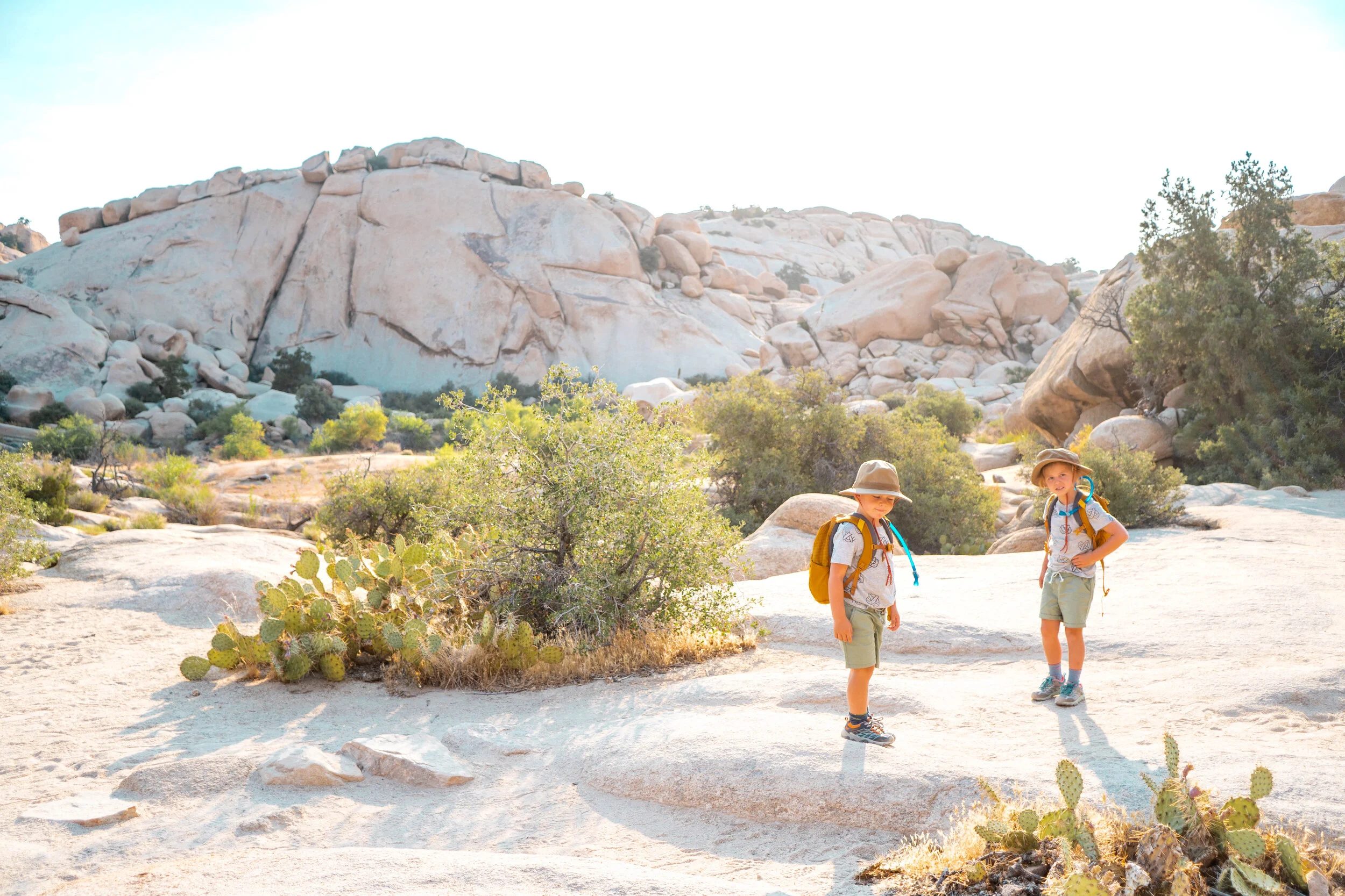What to do in Joshua Tree National Park with Kids Big Brave Nomad